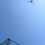 Drone Based Thermography Of 33Kv Gantry &Amp; Transformer Yard 6 Drone Based Thermography of 33kV Gantry & Transformer Yard - Vibhawa | Electrical Testing & Consultancy